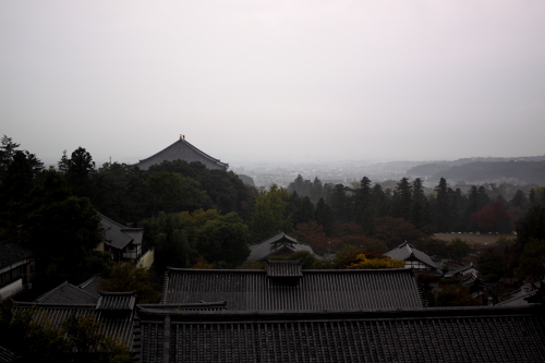toudaiji2