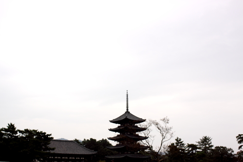 kouhukuji2