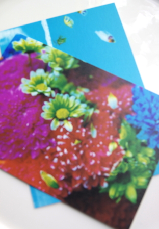 card