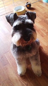 cd77d5f7.jpg