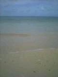 d88f6e37.jpg