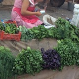 IMG_1911