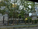 IMG_0265