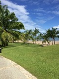 IMG_0224