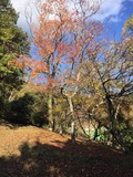 IMG_2780