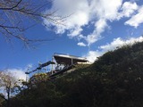 IMG_2782