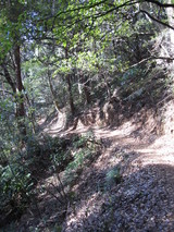 tsukui1
