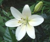 0431