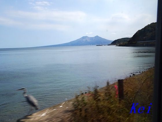8DSC04034