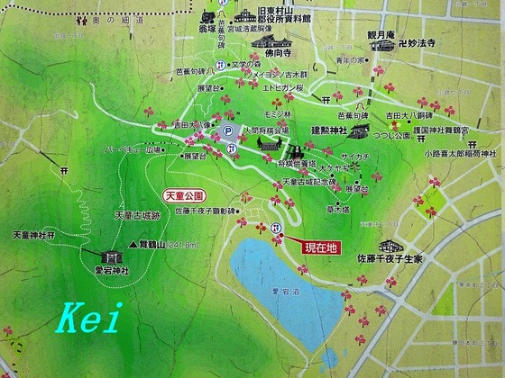 8DSC08524