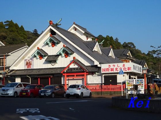 8DSC05595