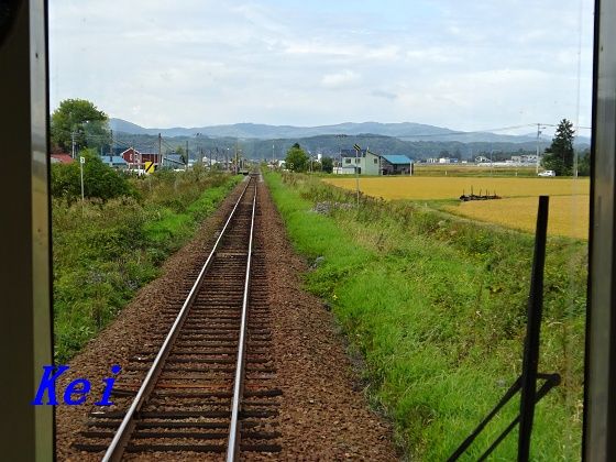 8DSC06534