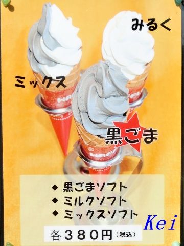6CIMG5311