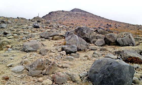 40cf2044.jpg