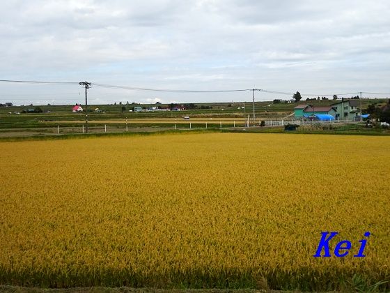 8DSC06532