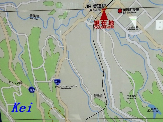 8DSC06579