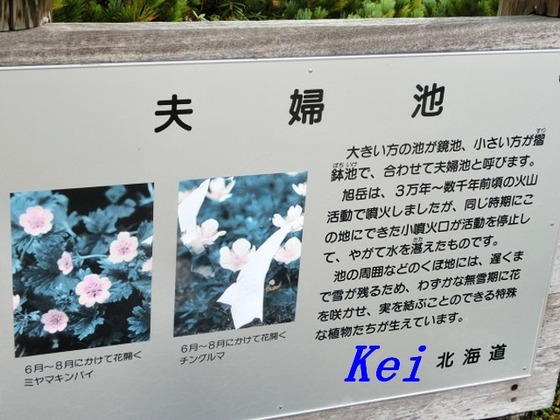 7CIMG9267