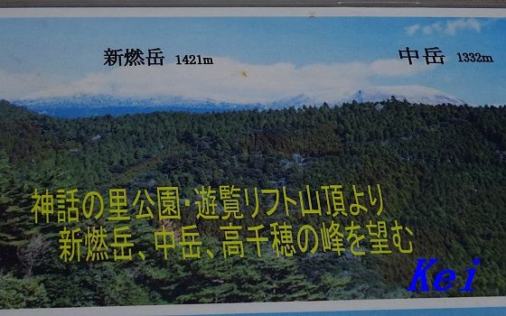 6DSC05954