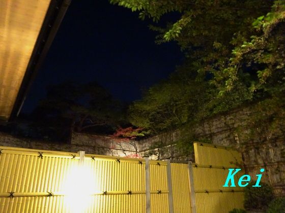 7DSC09915