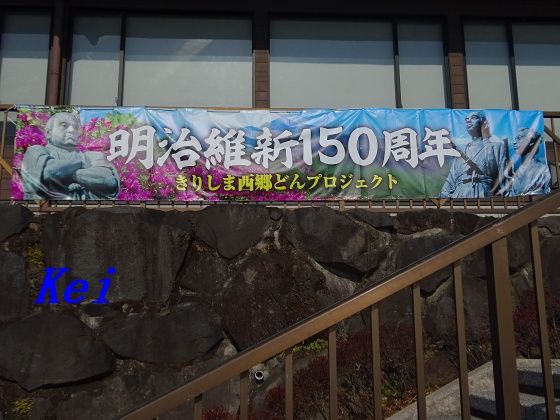 6DSC06023