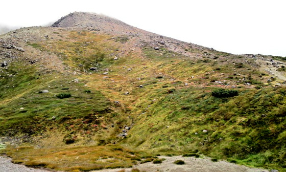 a463d648.jpg