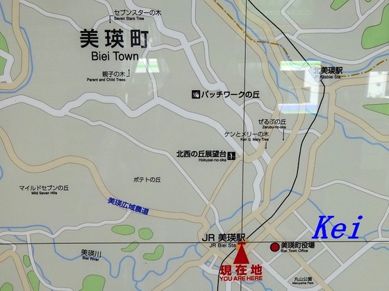 8DSC06577