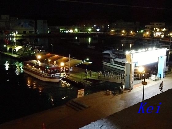 8DSC04491