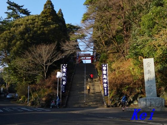 8DSC05600
