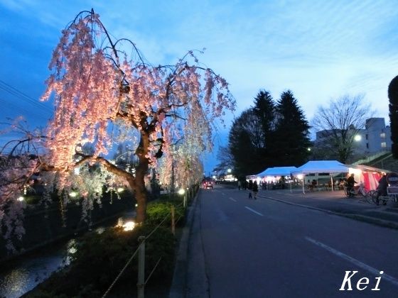 6CIMG0729