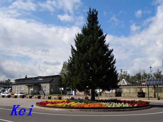 8DSC06592