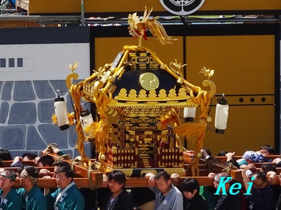 7DSC09459
