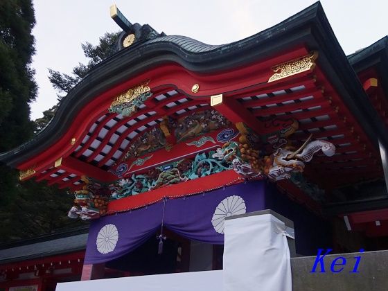 8DSC06138