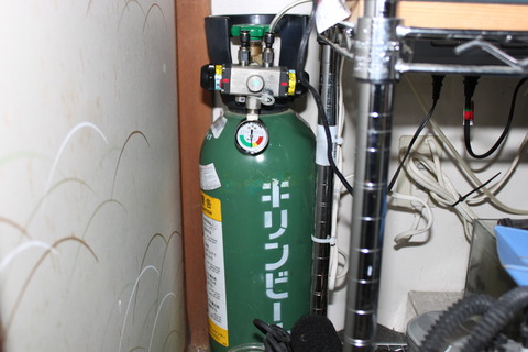 42feff79-s.jpg