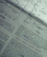 論文