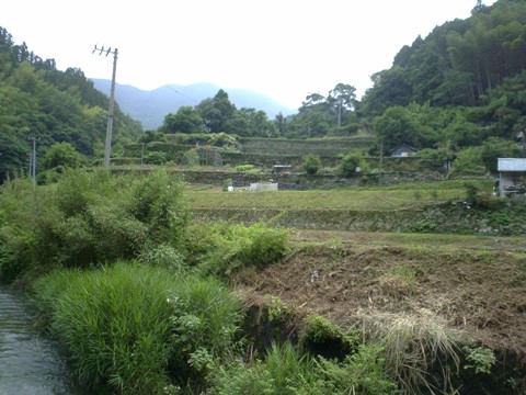 20100627 (3)