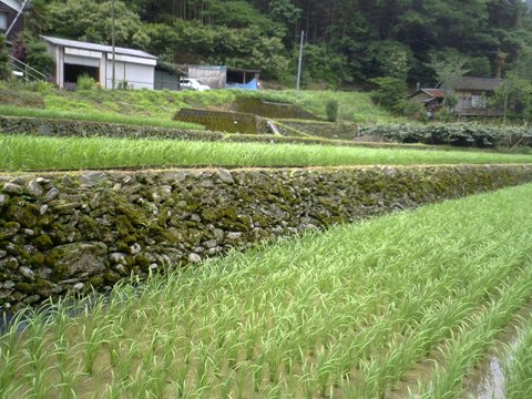 20100627
