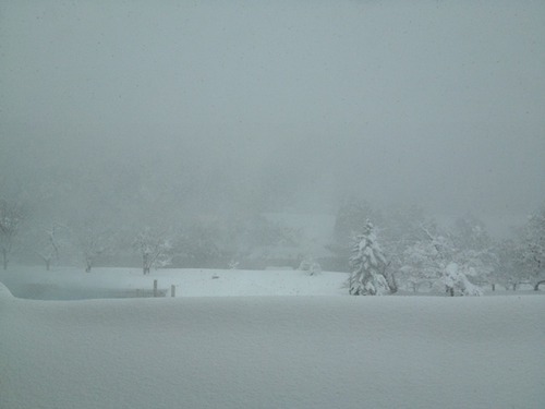 20120204 (1)