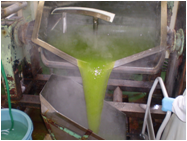 20090216