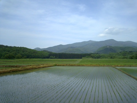 20100608 (1)
