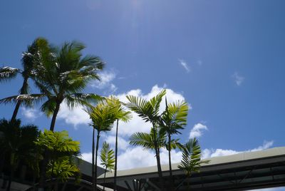 p1000140_1.jpg