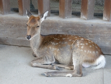 dscn1580_1.jpg