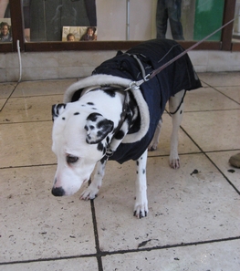img20090610.jpg