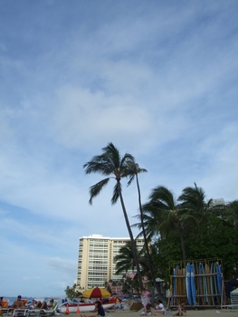 2008_03190002_1.jpg