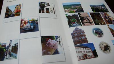 2008_03020010.jpg