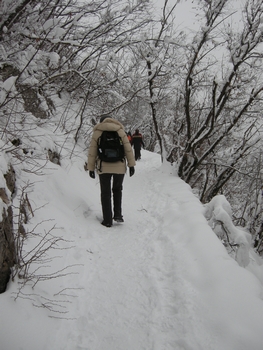 dscn0593_1.jpg