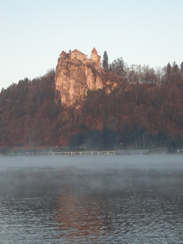 dscn0537_1.jpg