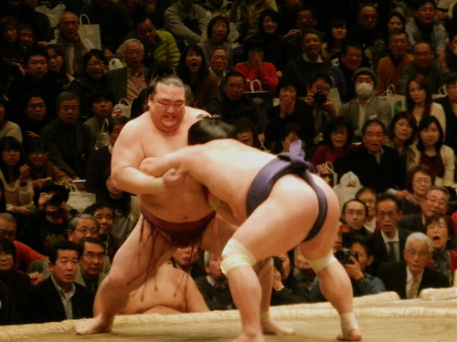 DSCN1950