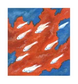 lil fish