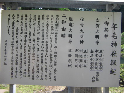 年毛4