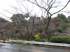 放生池西岸清水山
